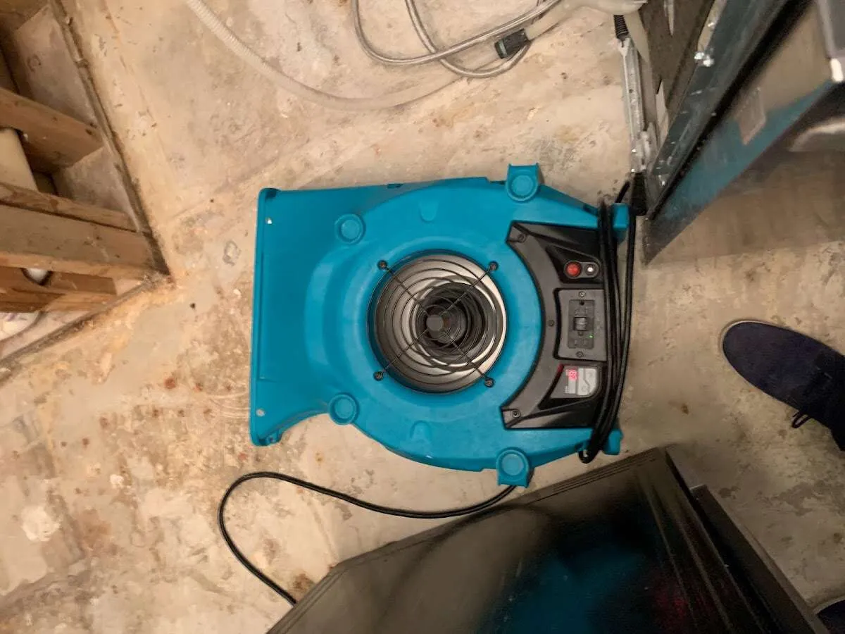 Air mover drying equipment for Mold Remediation & Removal in Mandan